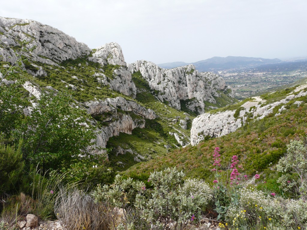 Sainte Beaume, 26-05-08, 10-33.jpg